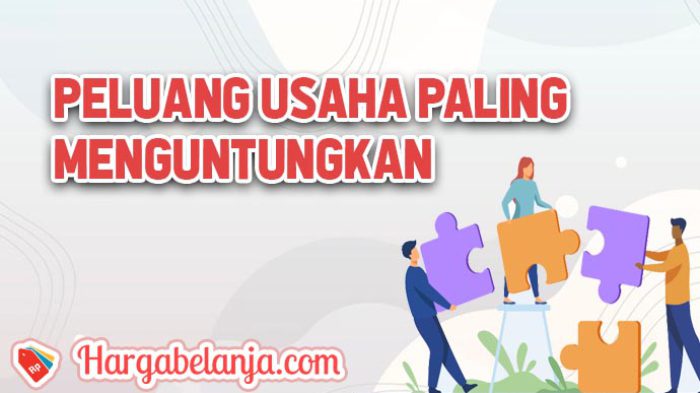 20+ Peluang Usaha Paling Menguntungkan 2022