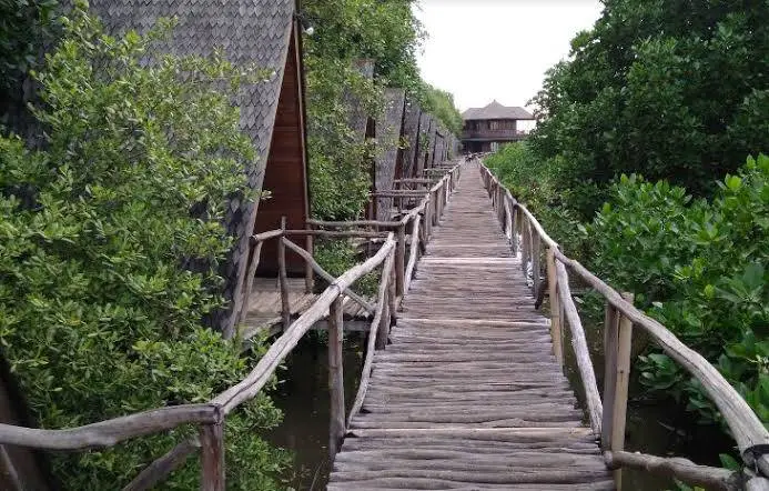 Tiket Masuk Wisata Alam Mangrove Angke