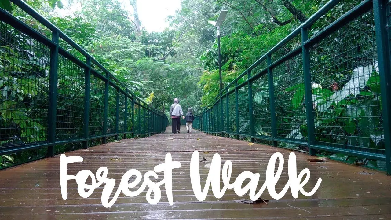 Harga Tiket Masuk Forest Walk Babakan, Update 2020