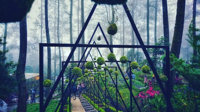 Wisata Jawa Barat Suhu Dingin.| Unsplash.com