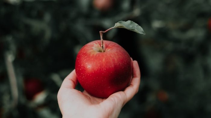 Buah untuk diet.| Unsplash.com
