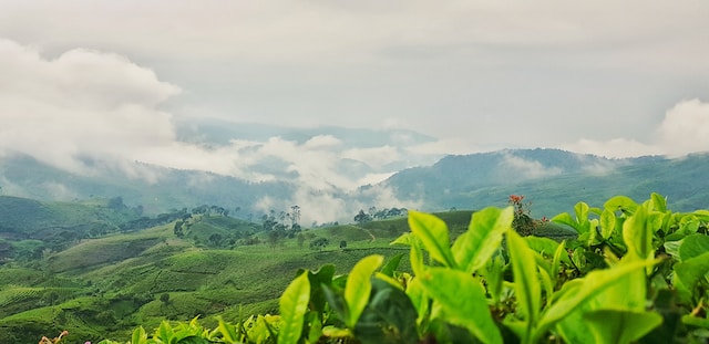 Wisata Suhu Dingin.| Unsplash.com