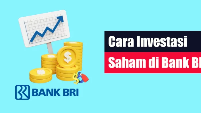 Cara Investasi di Bank BRI