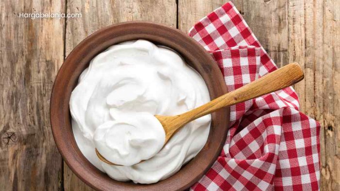 Cara Membuat Yogurt Sendiri 
