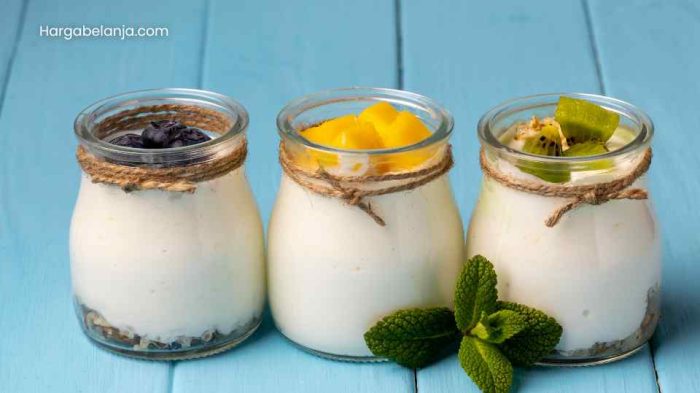 Cara Membuat Yogurt Sendiri 