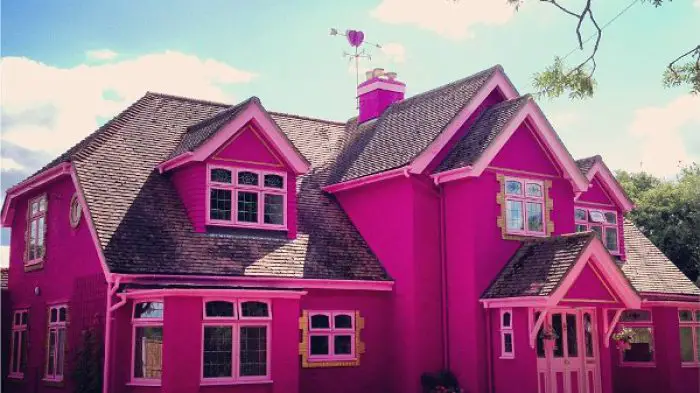 Cat Rumah Warna Pink Magenta