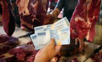 Harga Daging Sapi Hari ini