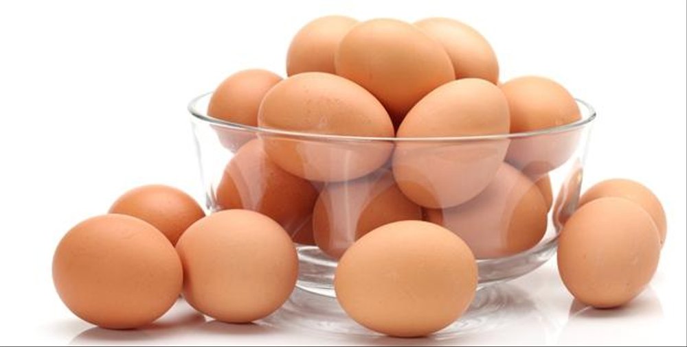 Gambar Telur Ayam