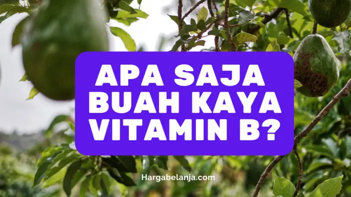 Buah Kaya Vitamin B Hargabelanja.com