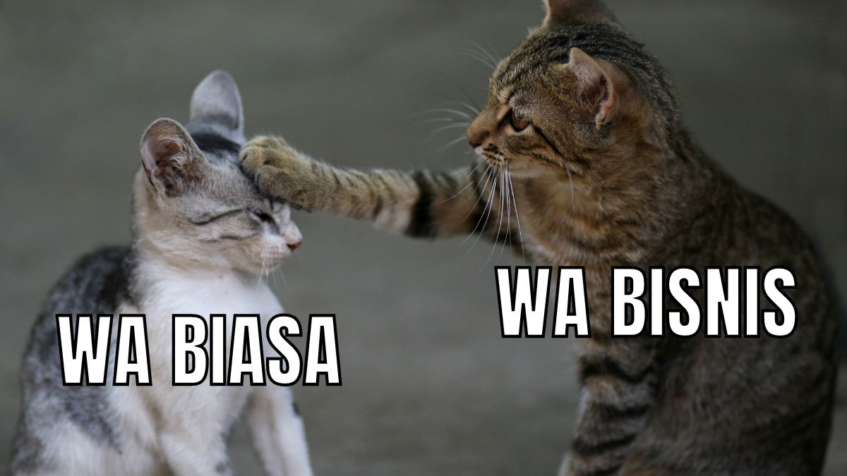 Perbedaan WA Bisnis dan WA Biasa, Banyak Juga Lho! Hargabelanja.com