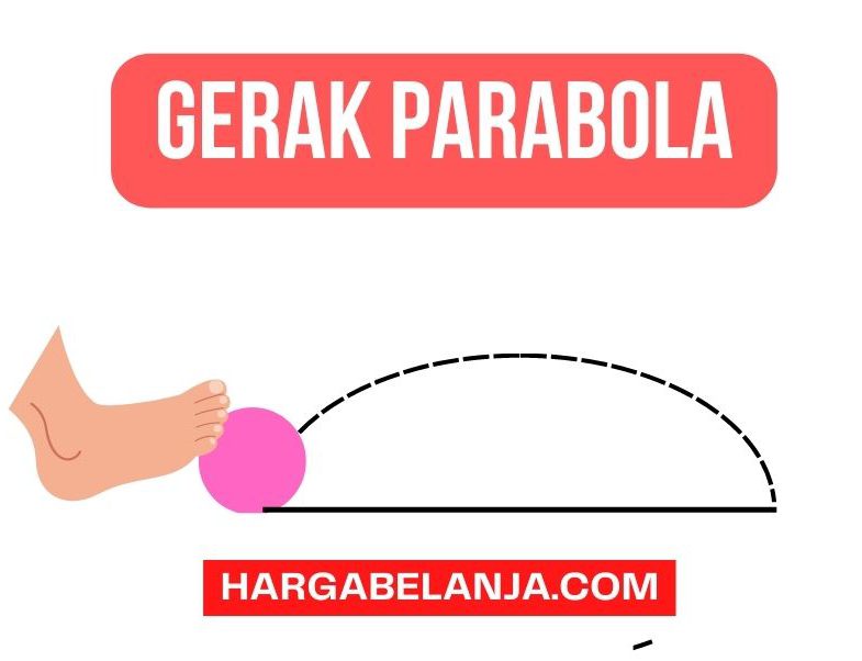Pengertian dan Contoh Soal Gerak Parabola