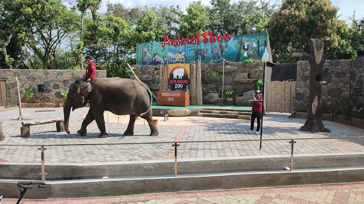 Tunggang Gajah Semarang Zoo hargabelanja.com