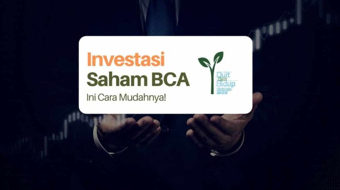 Kekurangan Investasi Saham