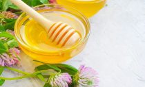 Manfaat dan Harga Clover Honey Untuk Kesehatan
