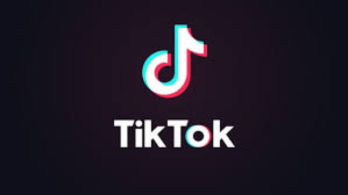 MusicallyDown.com TikTok