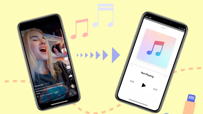 SS TikTok Mp3