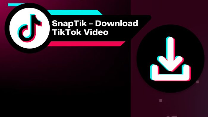 Savefrom TikTok Snaptik