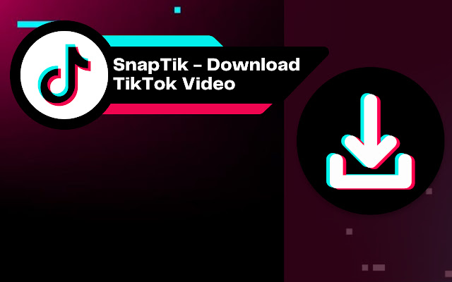 Savefrom TikTok Snaptik