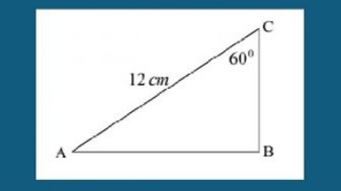 Contoh Soal Trigonometri Kelas 10