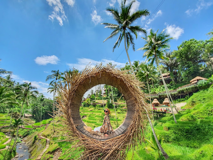 alas harum agrotourism tempat wisata di bali