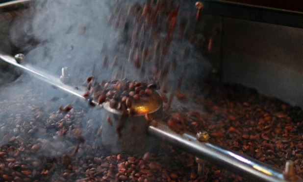 biji kopi segar