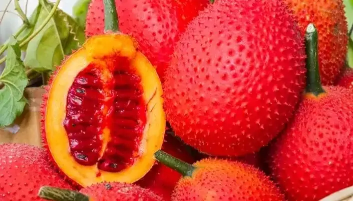 buah unik dan langka Gac Fruit