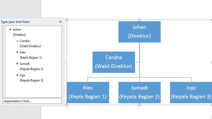 contoh struktur organisasi
