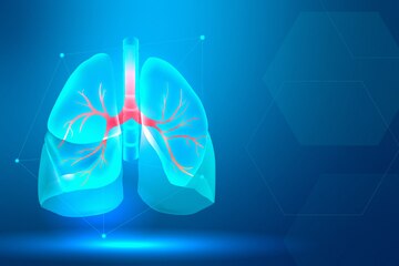 Gambar dalam artikel Materi IPA Organ-Organ Sistem Ekskresi (2/3). hargabelanja.com