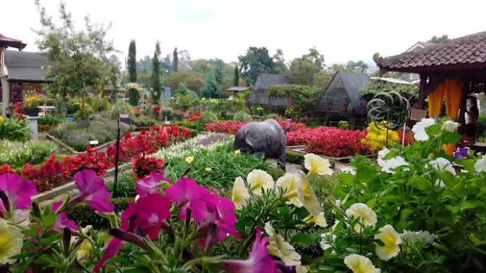 taman bunga begonia tempat wisata edukatif di Bandung