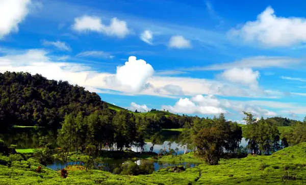 wisata-danau-situ-patenggang (tempat wisata Bandung)